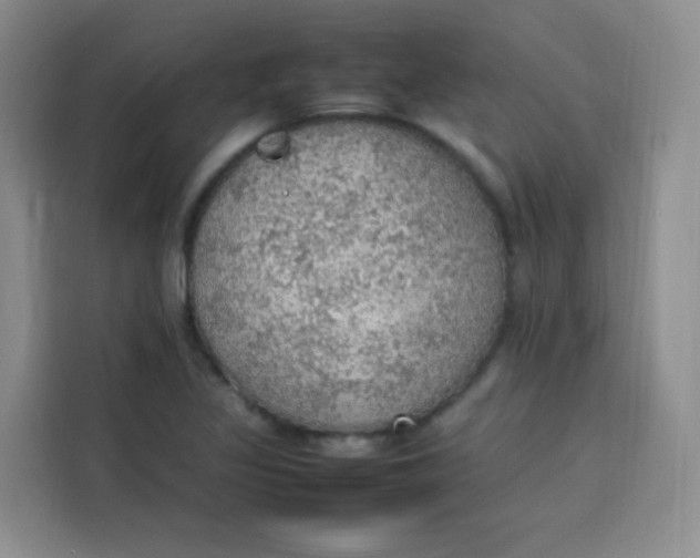 X0000113781317200910141030