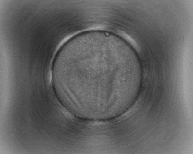 X0000113781324200910141030