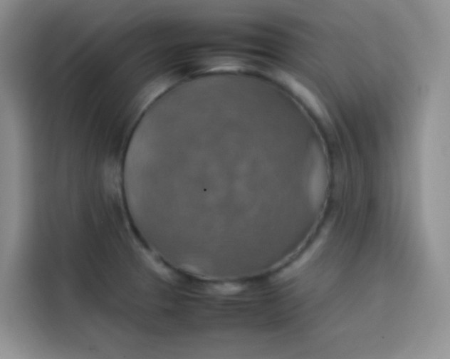 X0000113781329200910141030