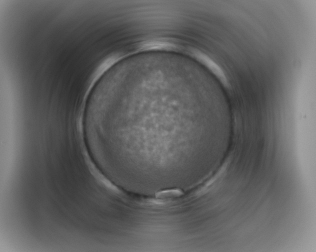 X0000113781330200910141031