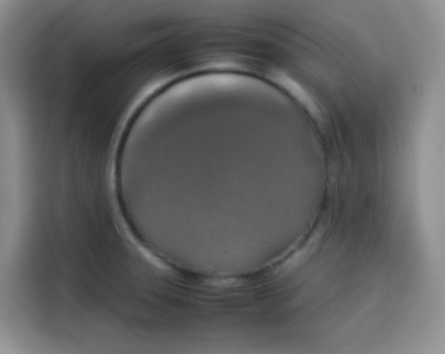 X0000113781331200910141031