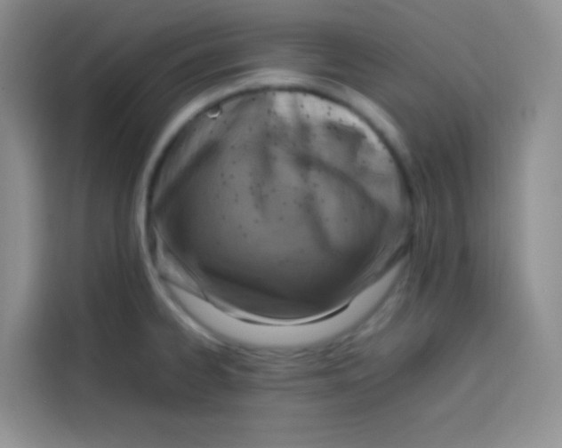 X0000113781334200910141031