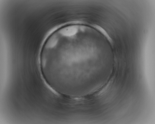 X0000113781335200910141031