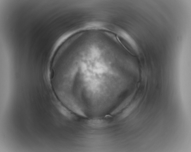 X0000113781336200910141031