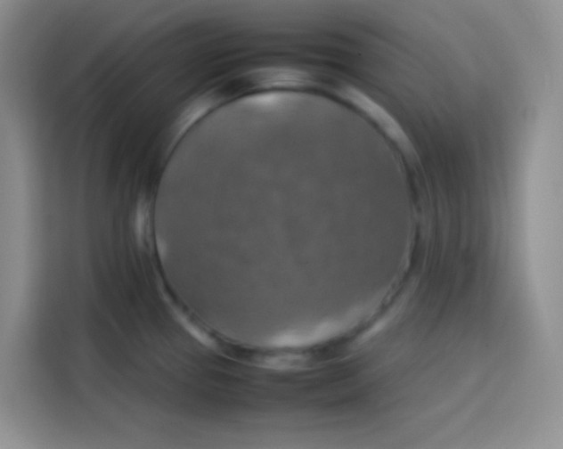 X0000113781337200910141031