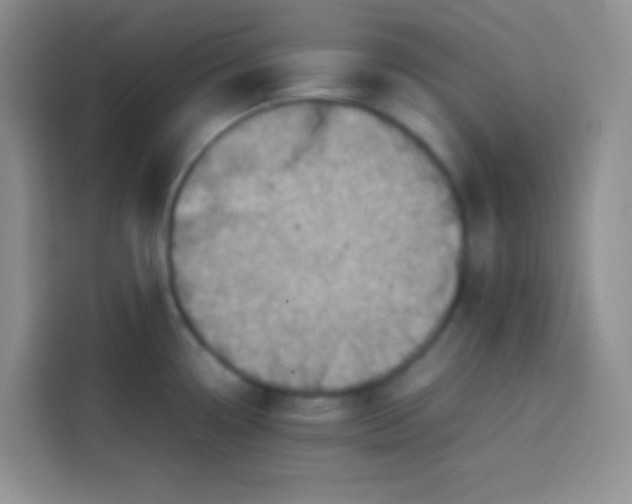 X0000113781338200910141031