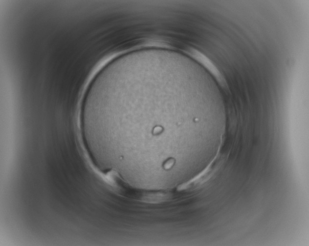 X0000113781339200910141031