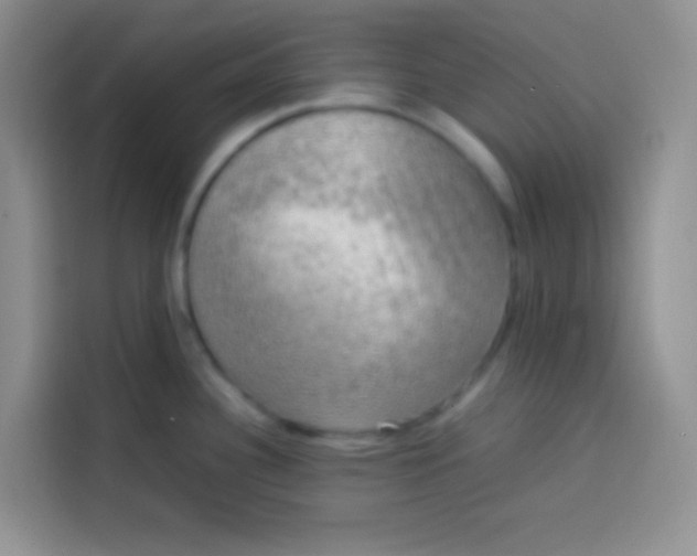 X0000113781340200910141031