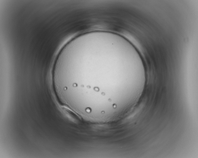 X0000113781341200910141031