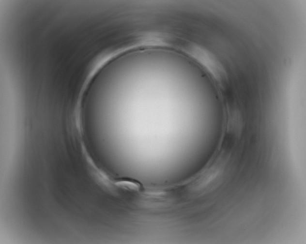 X0000113781342200910141031