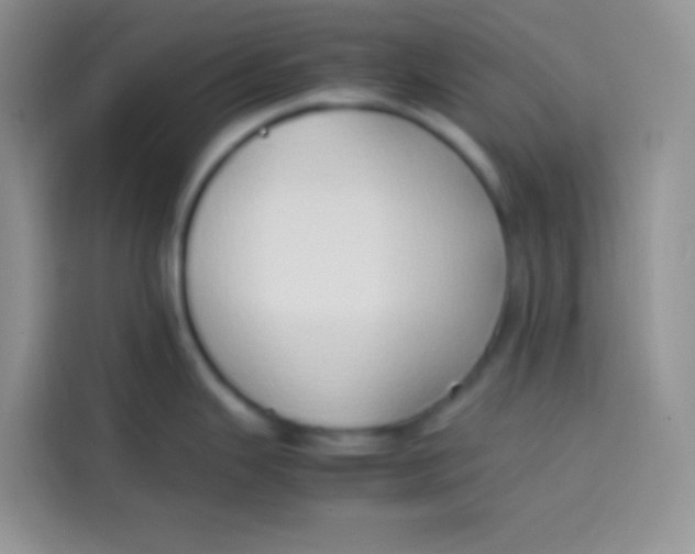 X0000113781343200910141031