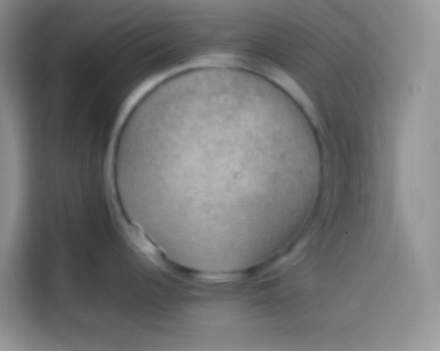 X0000113781344200910141031