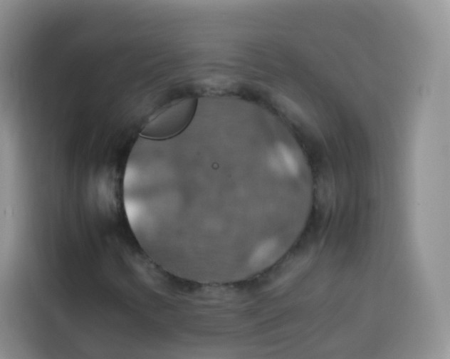 X0000113781346200910141030