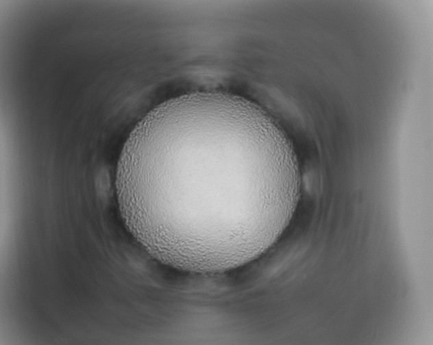 X0000113781347200910141030