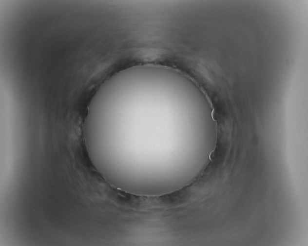 X0000113781349200910141030