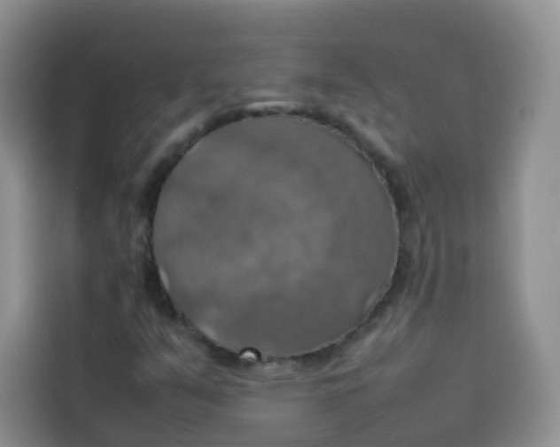 X0000113781351200910141030