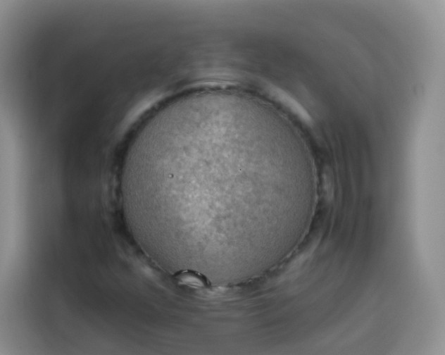 X0000113781352200910141030