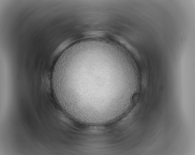 X0000113781354200910141030