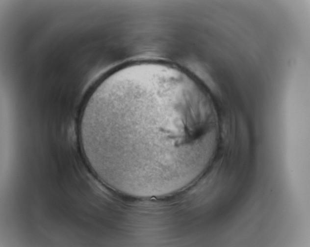 X0000113781356200910141030