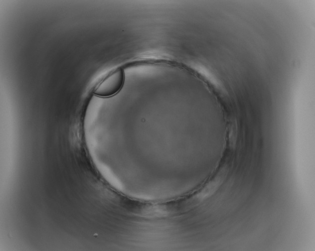 X0000113781358200910141030