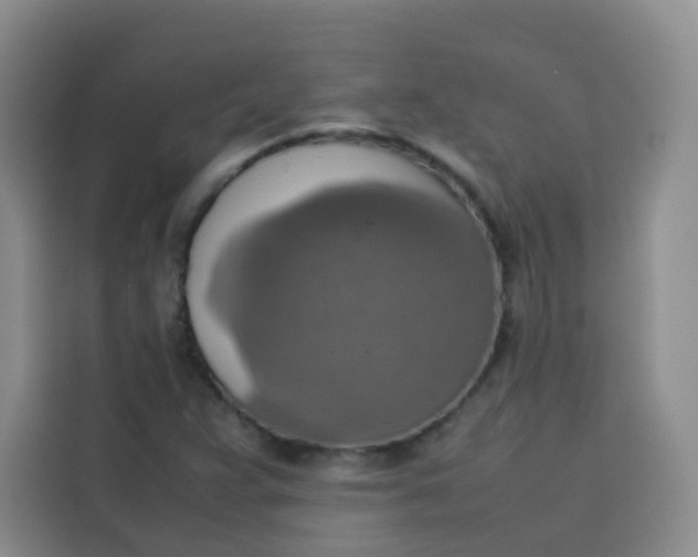 X0000113781359200910141030