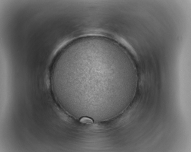 X0000113781360200910141030