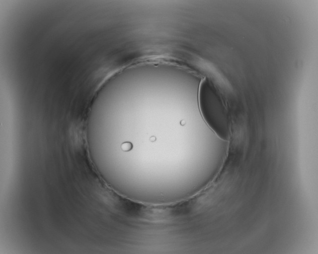 X0000113781361200910141030