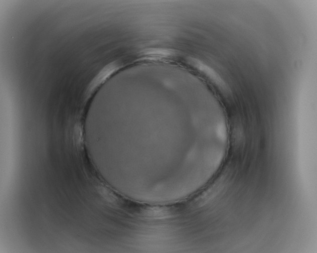 X0000113781362200910141030