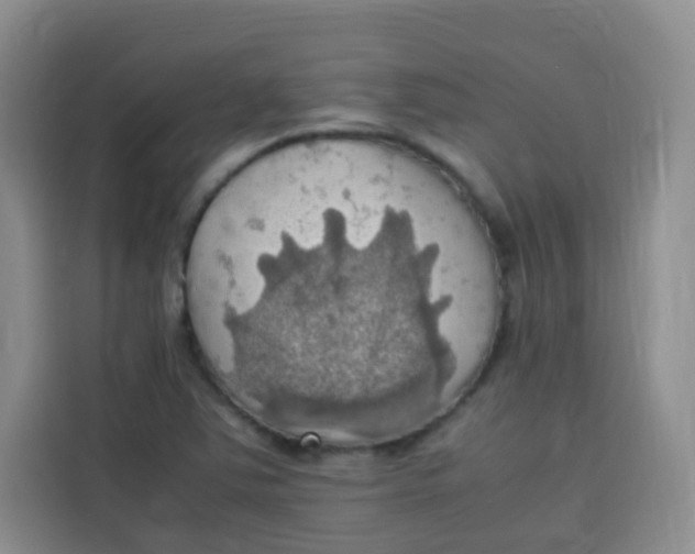 X0000113781363200910141030