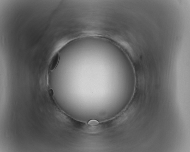 X0000113781365200910141030