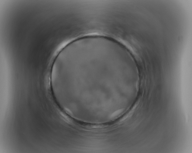 X0000113781367200910141030