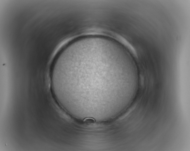 X0000113781368200910141030