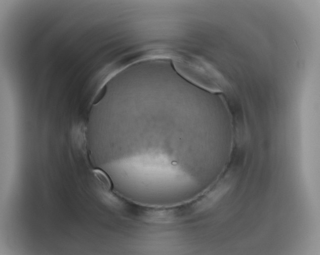 X0000113781369200910141030