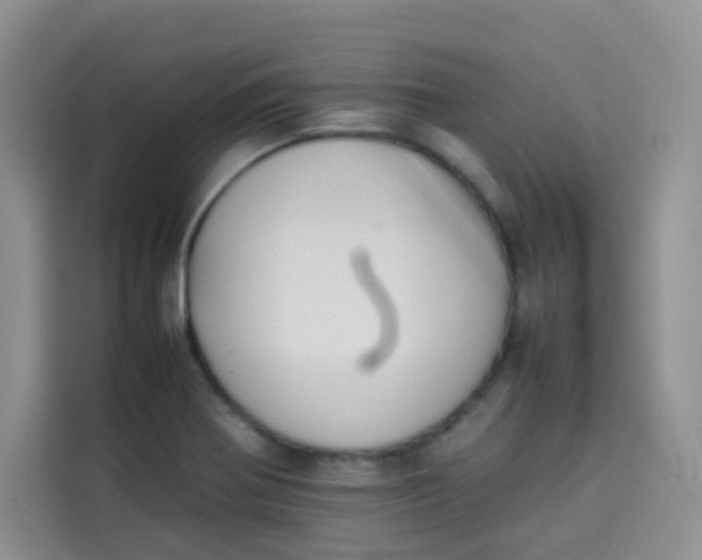 X0000113781370200910141030