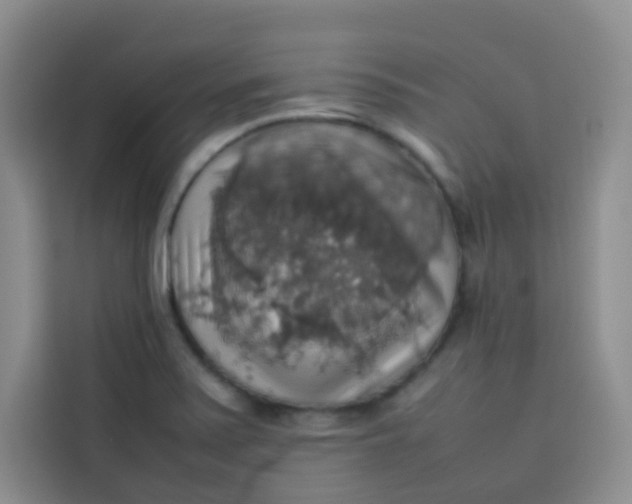 X0000113781371200910141030