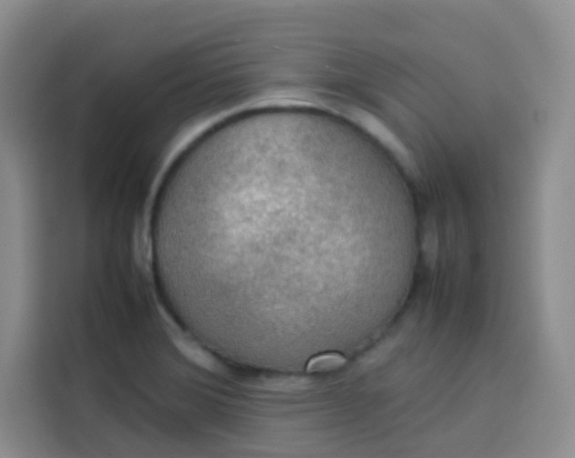 X0000113781372200910141030