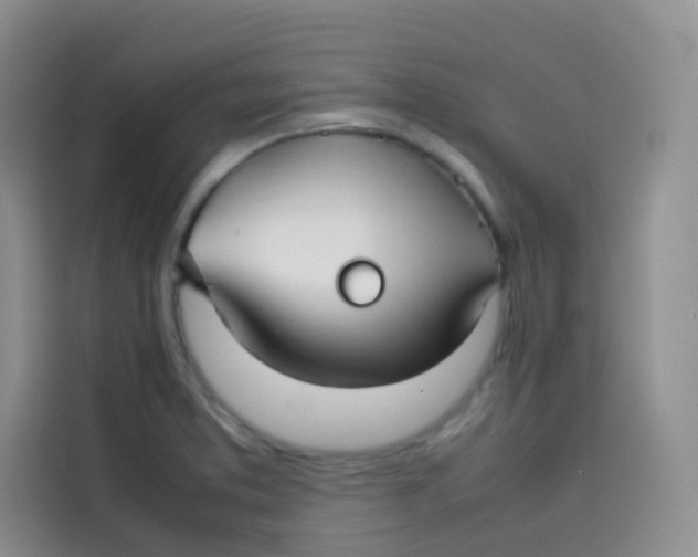 X0000113781373200910141030