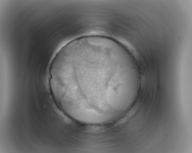 X0000113781374200910141030