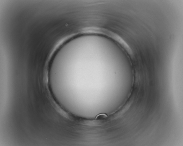 X0000113781376200910141030