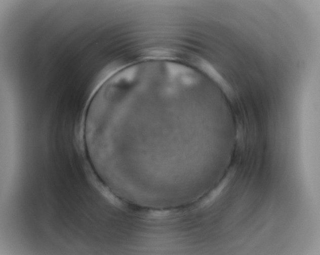 X0000113781378200910141030