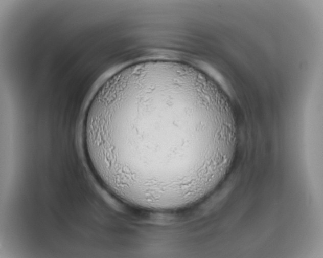 X0000113781379200910141030