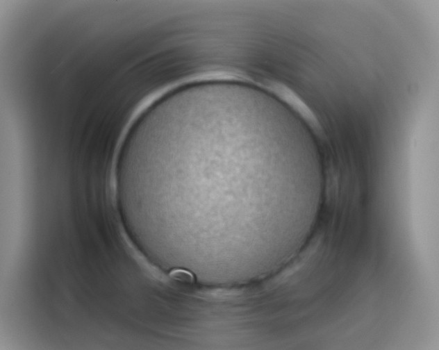 X0000113781380200910141030