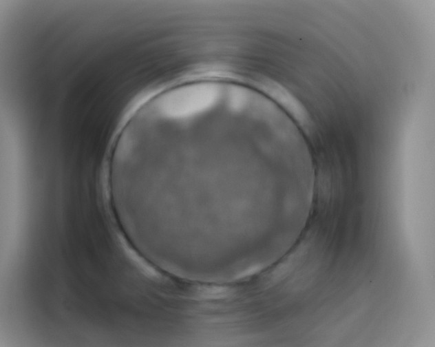 X0000113781382200910141030