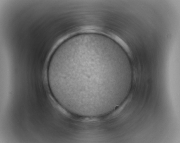 X0000113781384200910141030