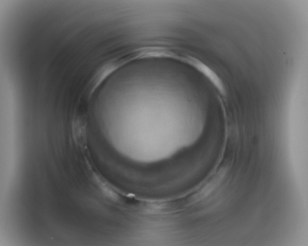 X0000113781385200910141030