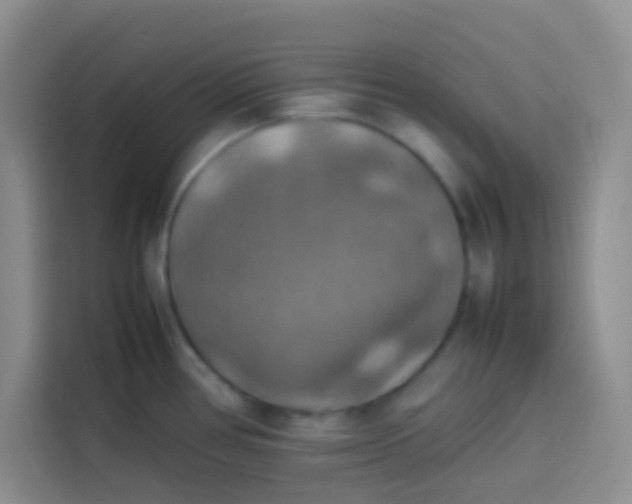 X0000113781386200910141030