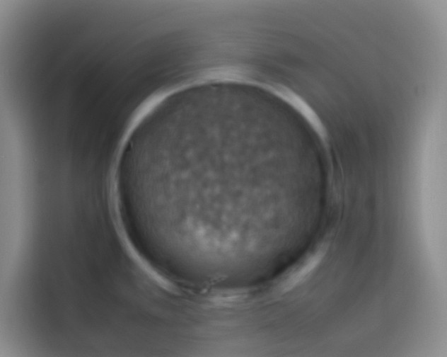 X0000113781389200910141030