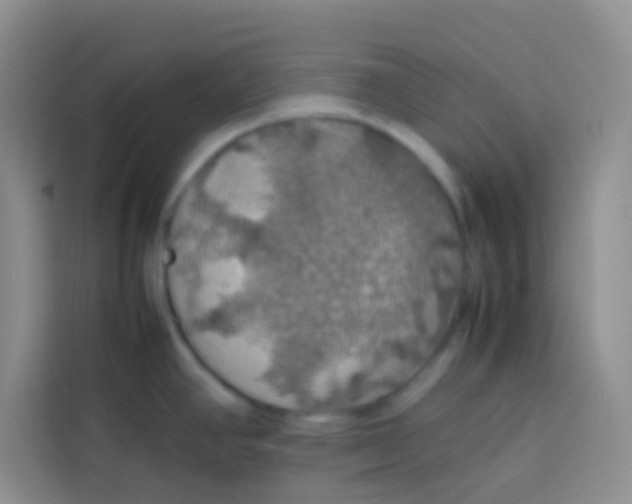 X0000113781390200910141029