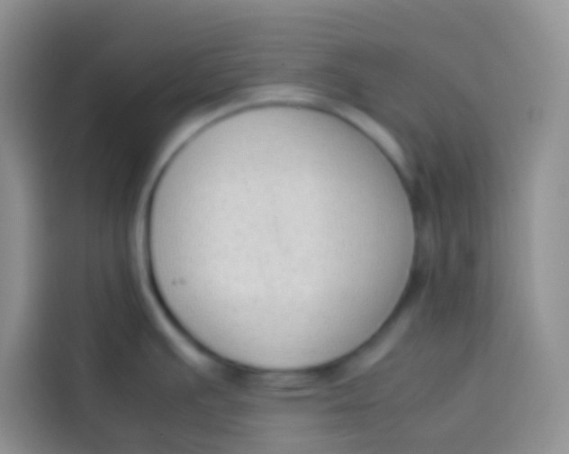 X0000113781391200910141029