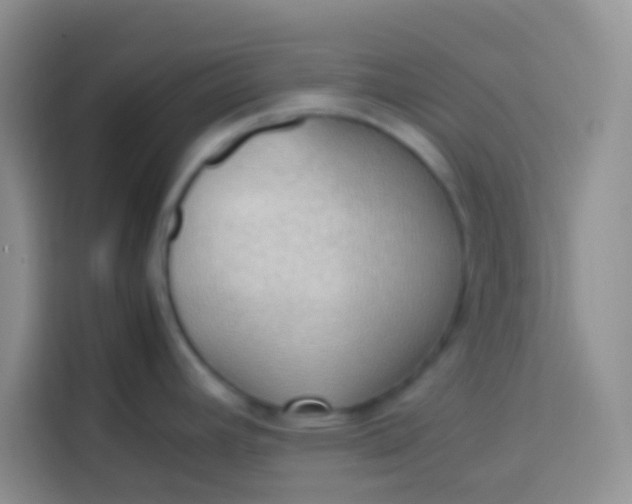 X0000113781392200910141029